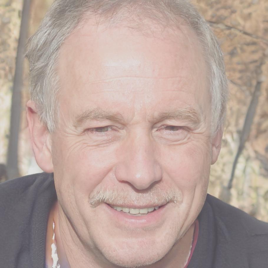 Dr. Michael Schmidt, Finanzanalyst